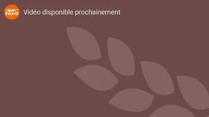 Vidéo non disponible